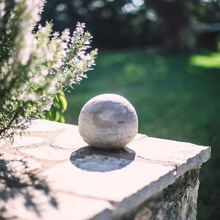 Apartament Eltheo Áyios Nikítas